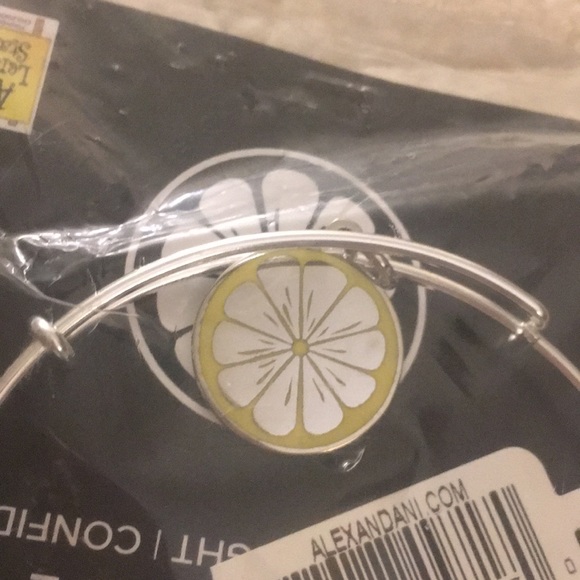 Alex and Ani Zest for Life Bangle - Picture 3 of 3